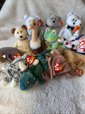 Beanie Baby Bundle